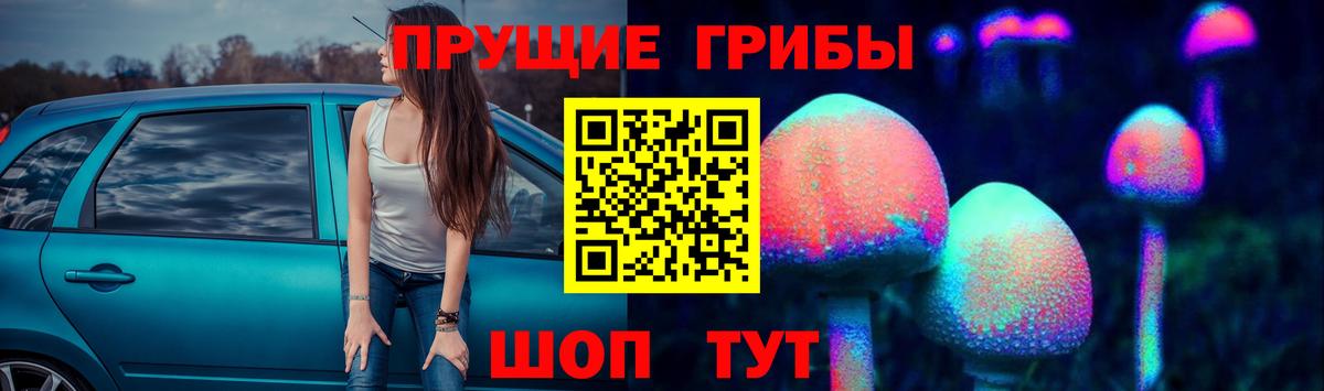 Галлюциногенные грибы Psilocybe Озёрск